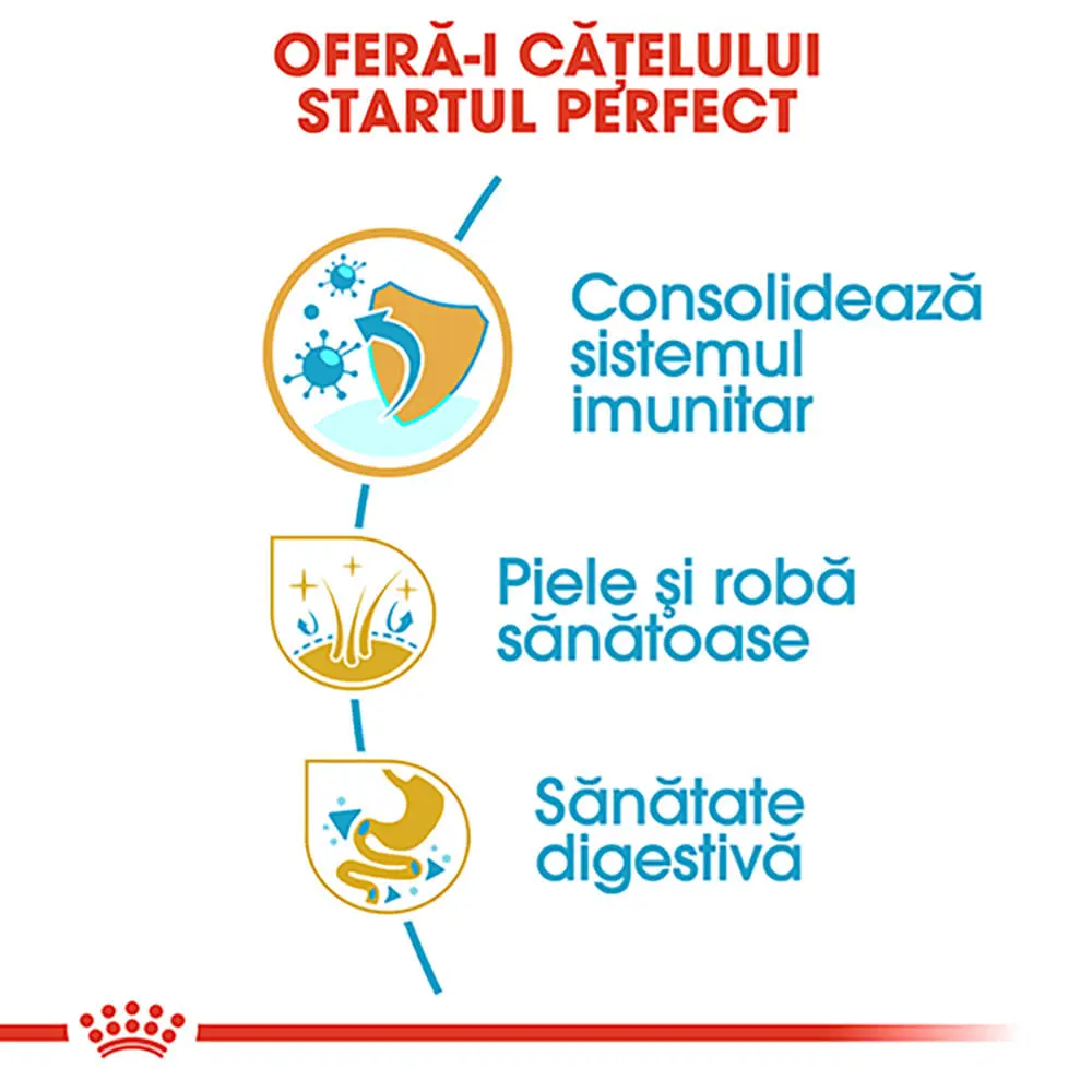 ROYAL CANIN Golden Retriever Puppy, hrana uscata caini junior, 1kg - Image 5