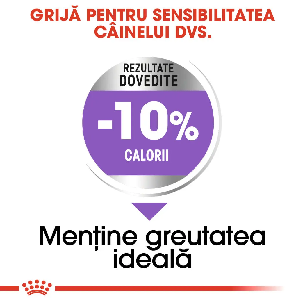 ROYAL CANIN Medium Sterilised Adult, hrana uscata caini sterilizati, 3kg - Image 5