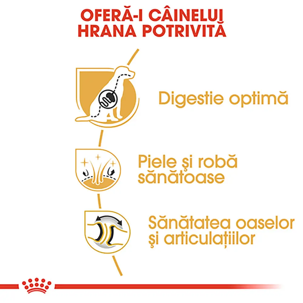 ROYAL CANIN German Shepherd Adult, hrana uscata caini, 3kg - Image 5