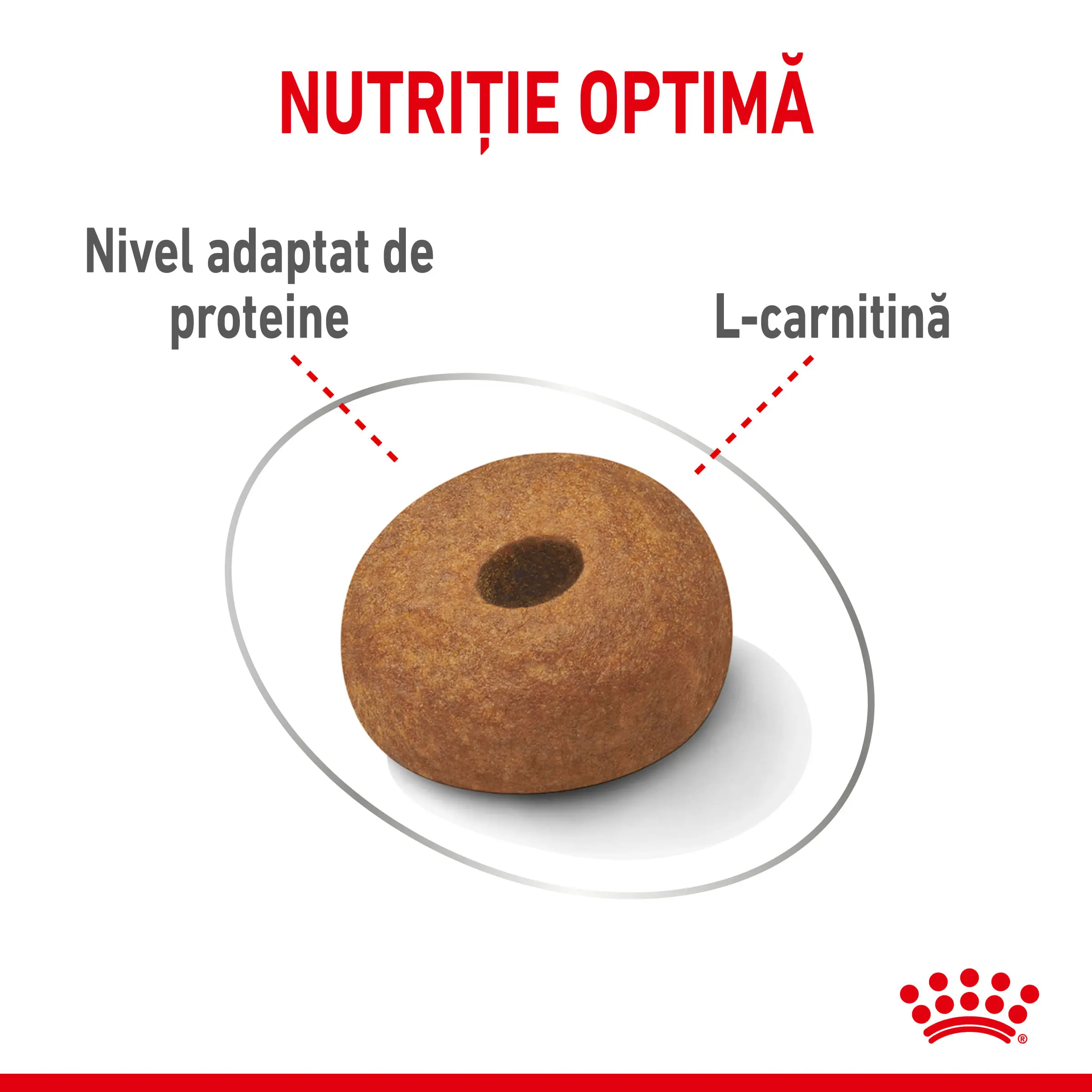ROYAL CANIN Maxi Light Weight Care, hrana uscata caini, limitarea cresterii in greutate, 12kg - Image 5
