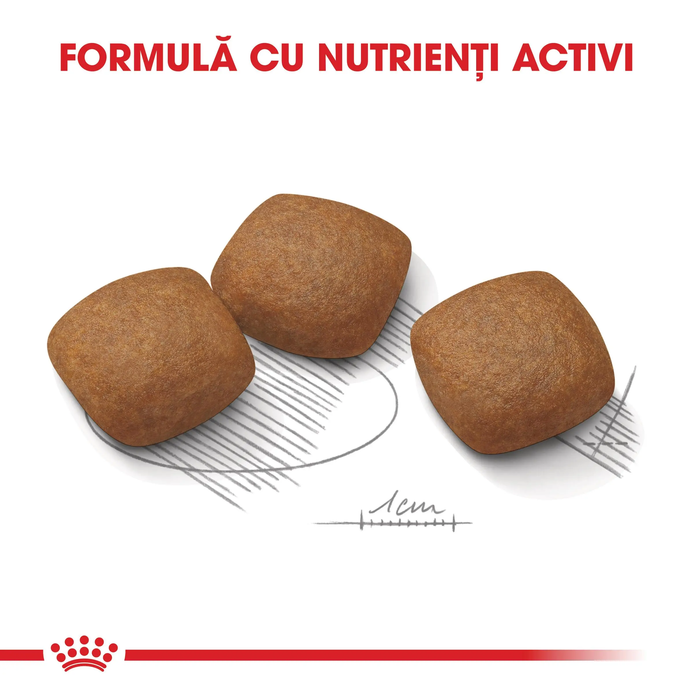 ROYAL CANIN Maxi Joint Care, hrana uscata caini, ingrijirea articulatiilor, 10kg - Image 5