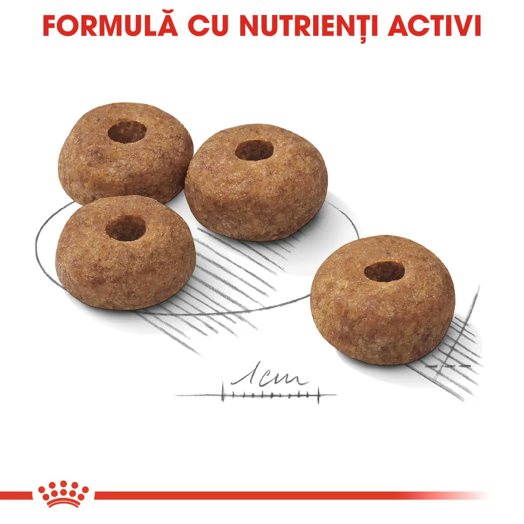 ROYAL CANIN Medium Sterilised Adult, hrana uscata caini sterilizati, 3kg - Image 6