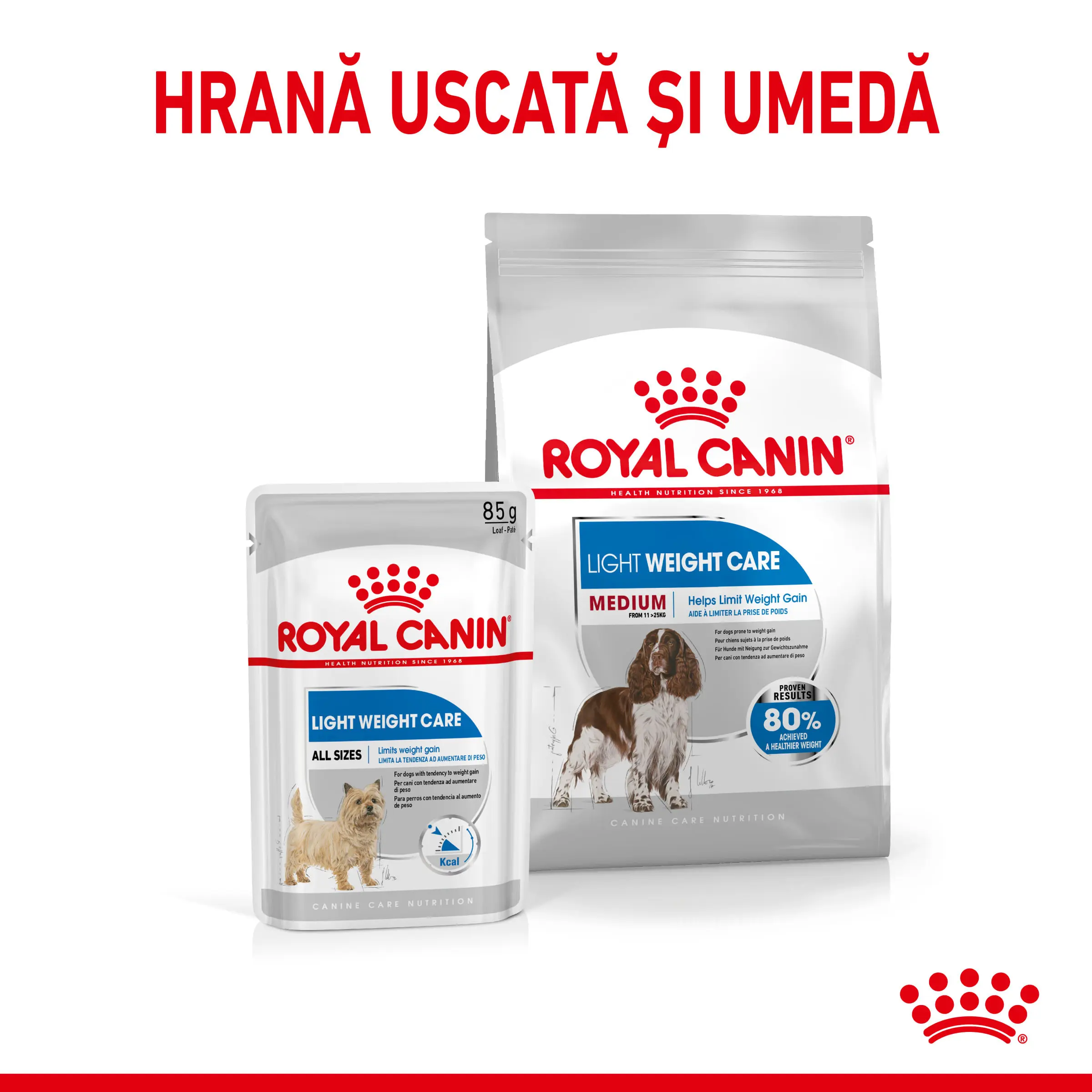 ROYAL CANIN Medium Light Weight Care Adult, hrana uscata caini, limitarea cresterii in greutate, 3kg - Image 8