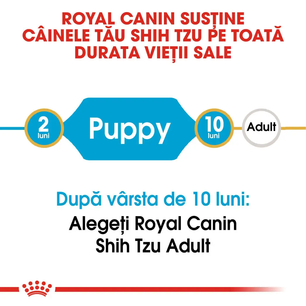 ROYAL CANIN Shih Tzu Puppy, hrana uscata caini junior, 1.5kg - Image 9