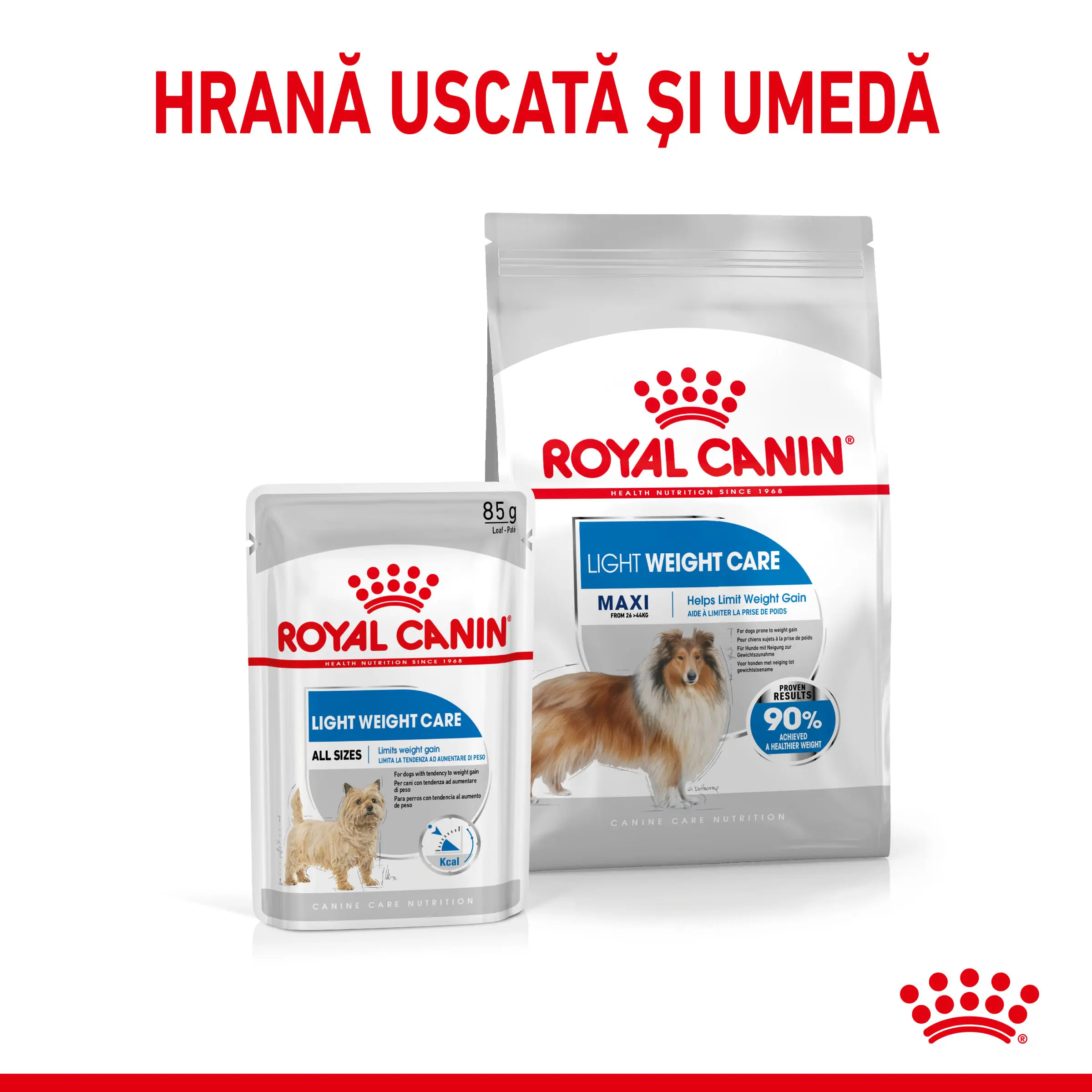 ROYAL CANIN Maxi Light Weight Care, hrana uscata caini, limitarea cresterii in greutate, 12kg - Image 8