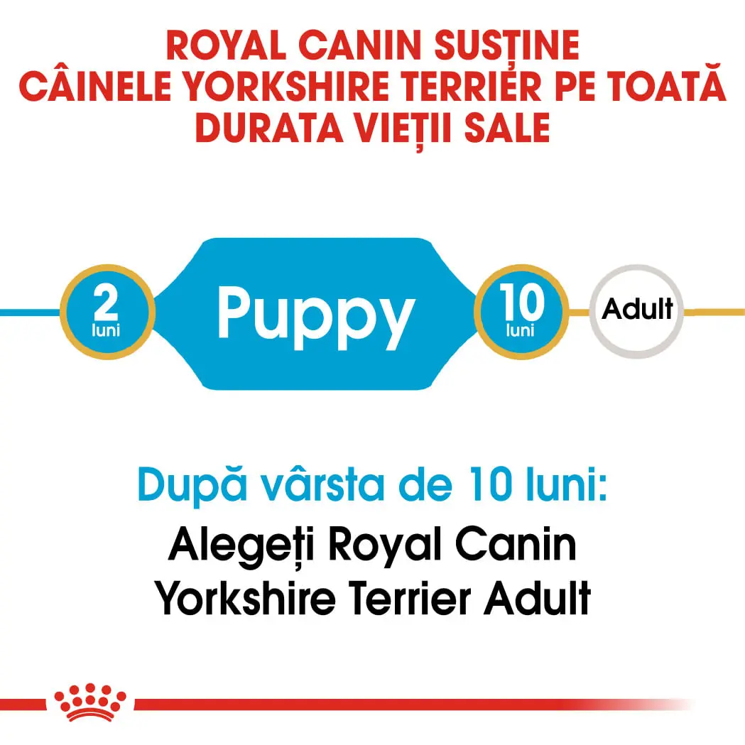 ROYAL CANIN Yorkshire Puppy, hrana uscata caini junior, 500g - Image 9