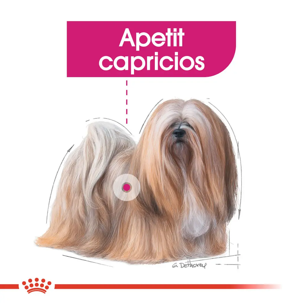 ROYAL CANIN Mini Exigent, hrana uscata caini, apetit capricios, 3kg - Image 4