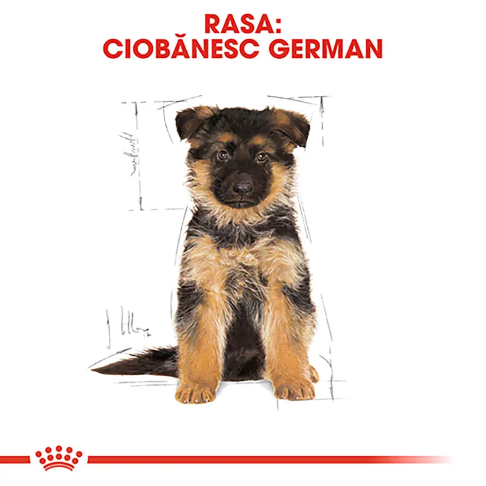 ROYAL CANIN German Shepherd Puppy, hrana uscata caini junior, 1kg - Image 4