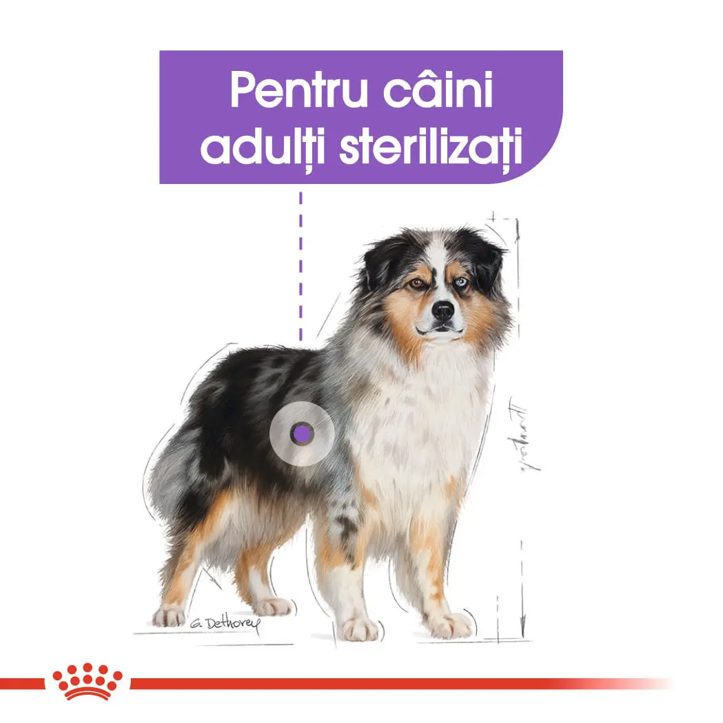 ROYAL CANIN Medium Sterilised Adult, hrana uscata caini sterilizati, 12kg - Image 4