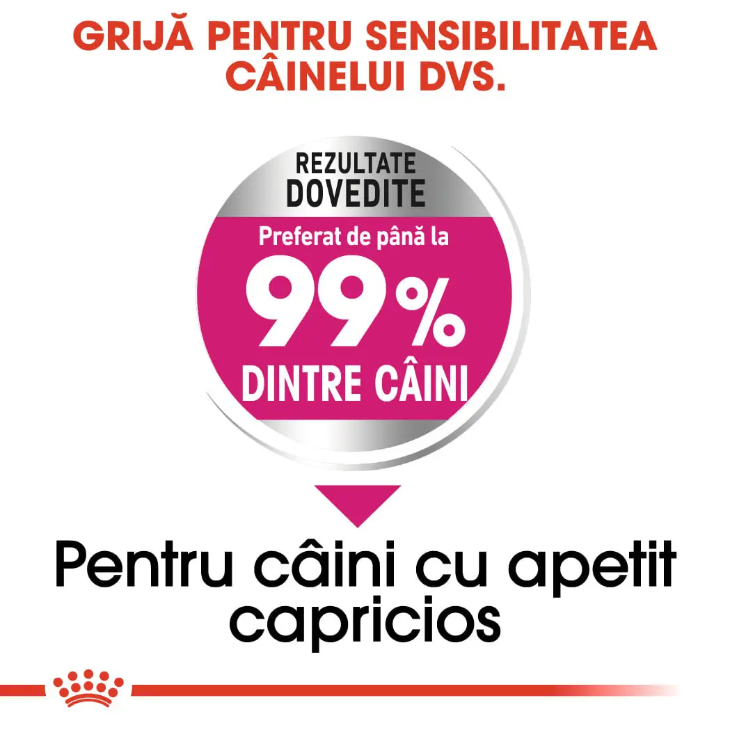 ROYAL CANIN Mini Exigent, hrana uscata caini, apetit capricios, 3kg - Image 5