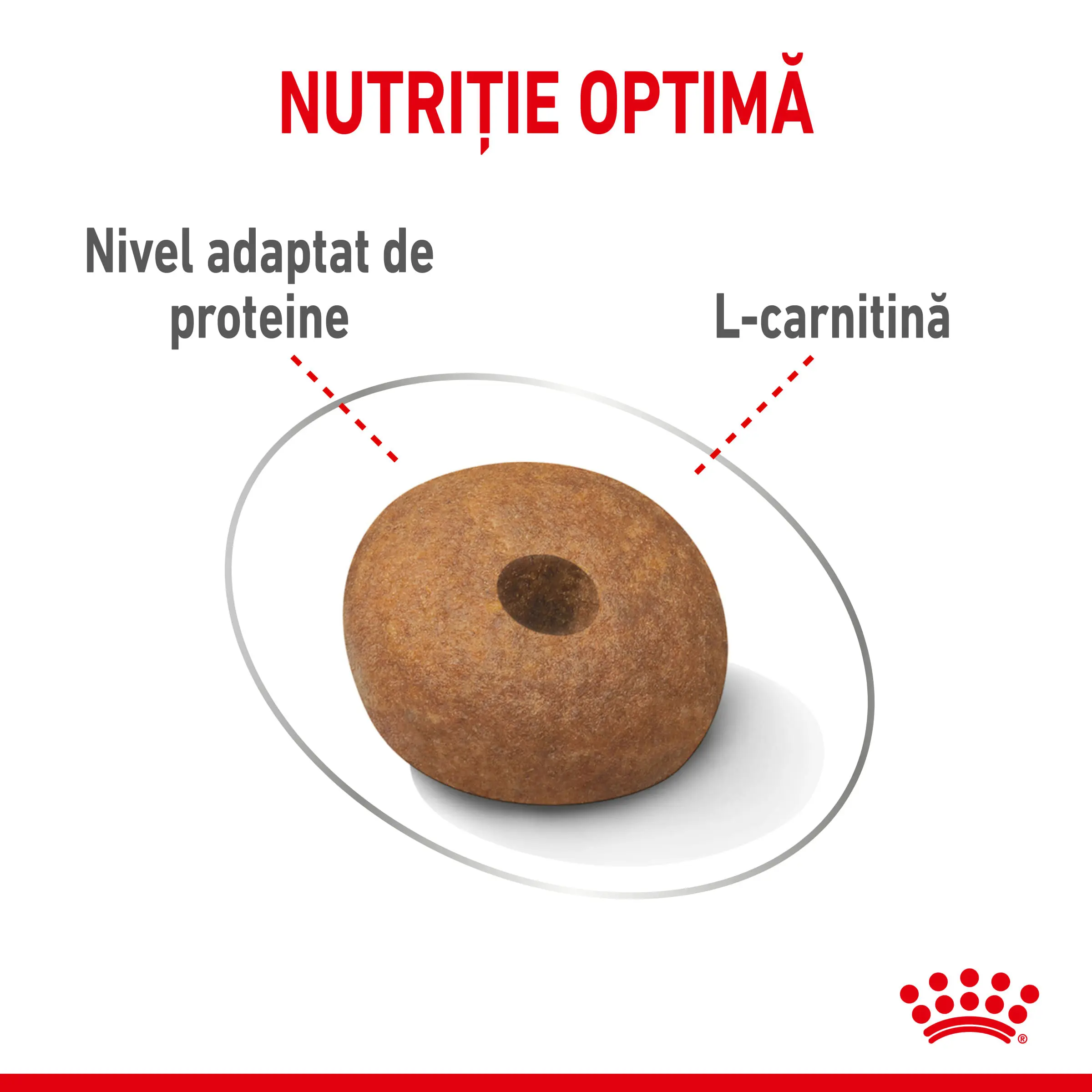 ROYAL CANIN Medium Light Weight Care Adult, hrana uscata caini, limitarea cresterii in greutate, 12kg - Image 5