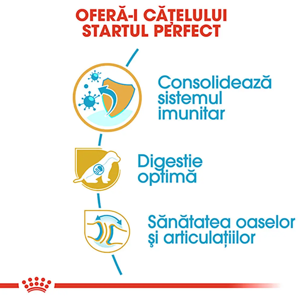 ROYAL CANIN German Shepherd Puppy, hrana uscata caini junior, 1kg - Image 5