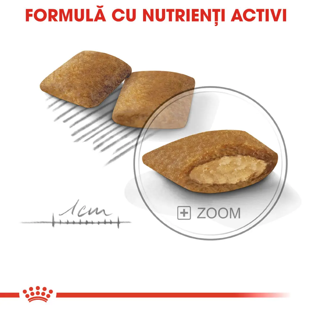 ROYAL CANIN Mini Exigent, hrana uscata caini, apetit capricios, 3kg - Image 6