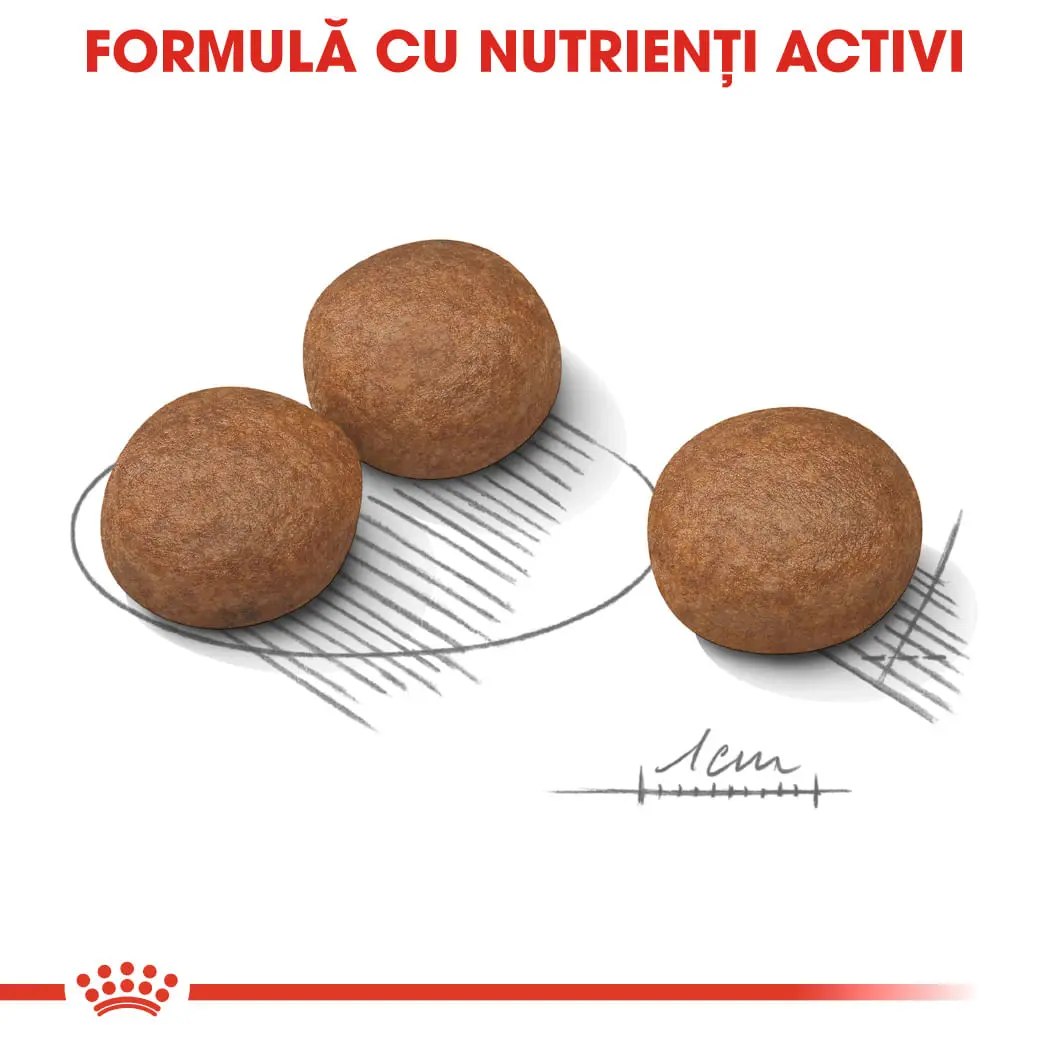 ROYAL CANIN Medium Digestive Care, hrana uscata caini, confort digestiv, 12kg - Image 6