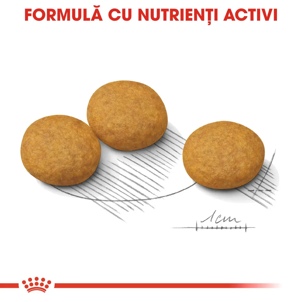 ROYAL CANIN Medium Dermacomfort, hrana uscata caini, prevenirea iritatiilor pielii, 12kg - Image 6