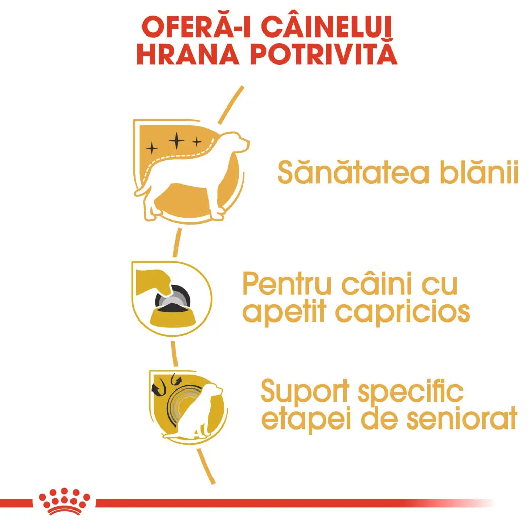 ROYAL CANIN Yorkshire Adult, hrana uscata caini, 500g - Image 4