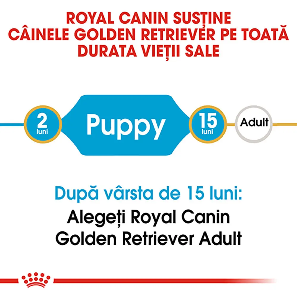ROYAL CANIN Golden Retriever Puppy, hrana uscata caini junior, 3kg - Image 9