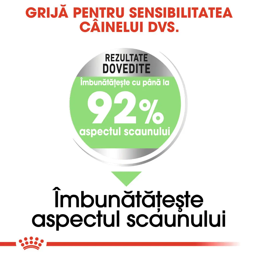 ROYAL CANIN Mini Digestive Care, hrana uscata caini, confort digestiv, 8kg - Image 5