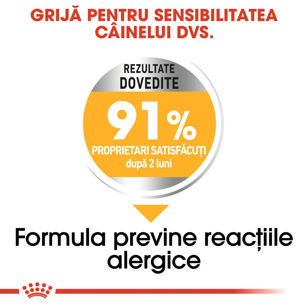 ROYAL CANIN Mini Dermacomfort, hrana uscata caini, prevenirea iritatiilor pielii, 8kg - Image 5