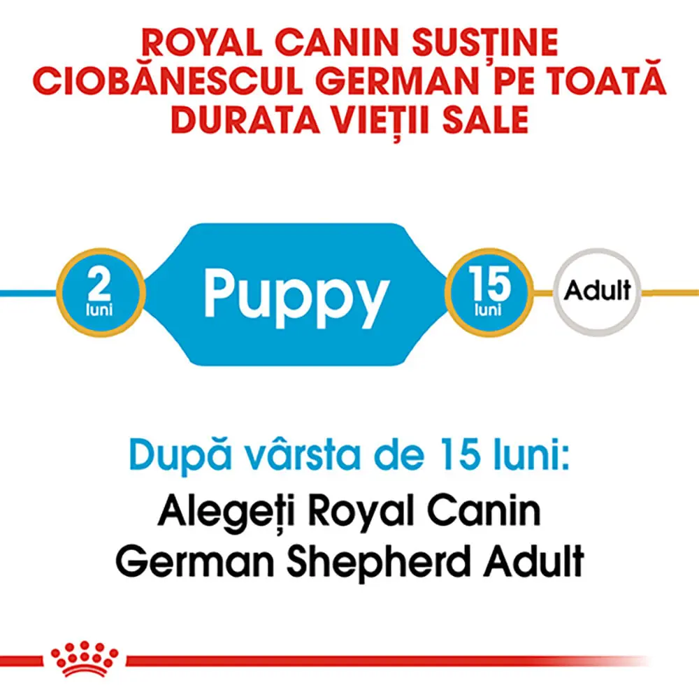 ROYAL CANIN German Shepherd Puppy, hrana uscata caini junior, 12kg - Image 9