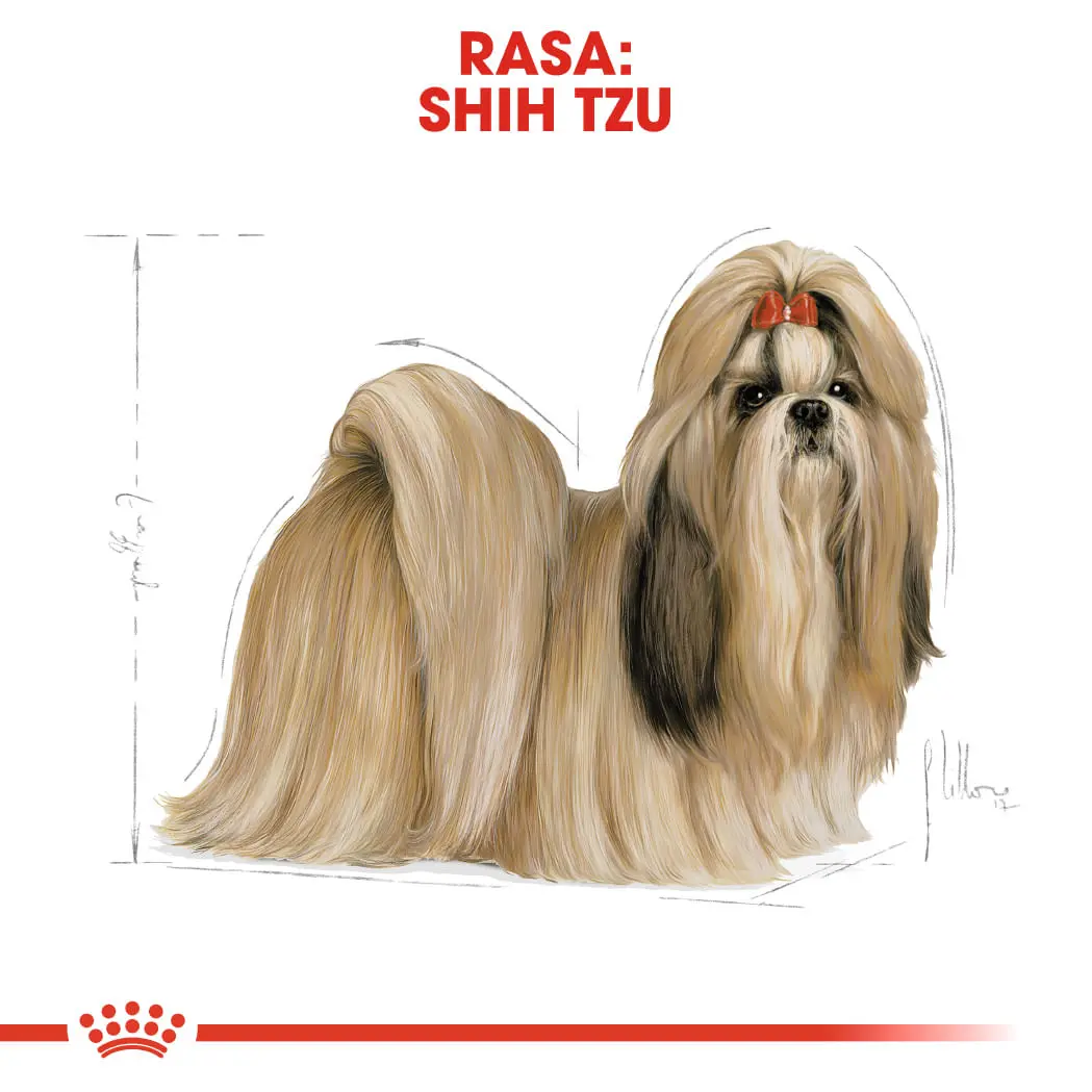 ROYAL CANIN Shih Tzu Adult, hrana uscata caini, 1.5kg - Image 4
