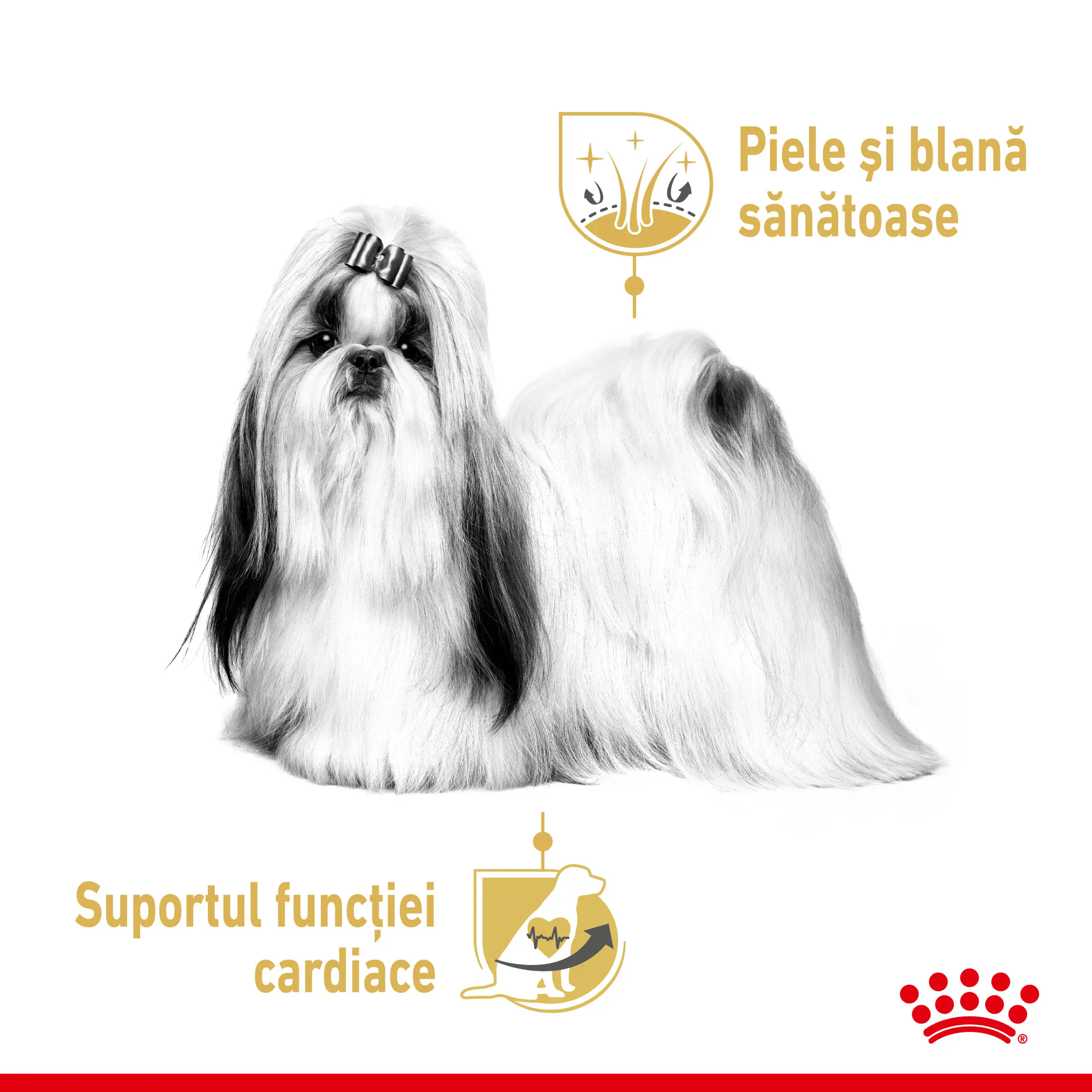 ROYAL CANIN Shih Tzu Adult hrana umeda caini (pate), 85g - Image 4