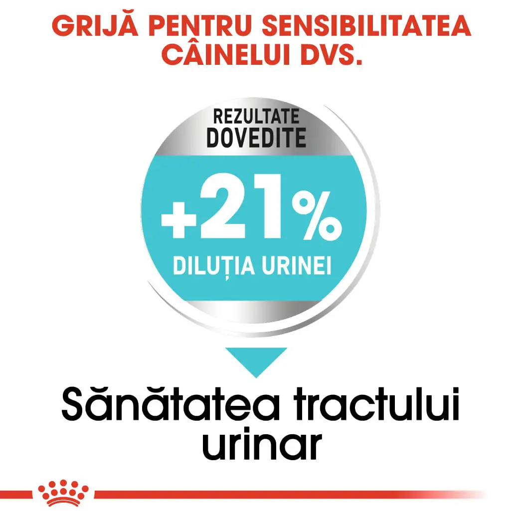 ROYAL CANIN Mini Urinary Care, hrana uscata caini, sanatatea tractului urinar, 8kg - Image 5