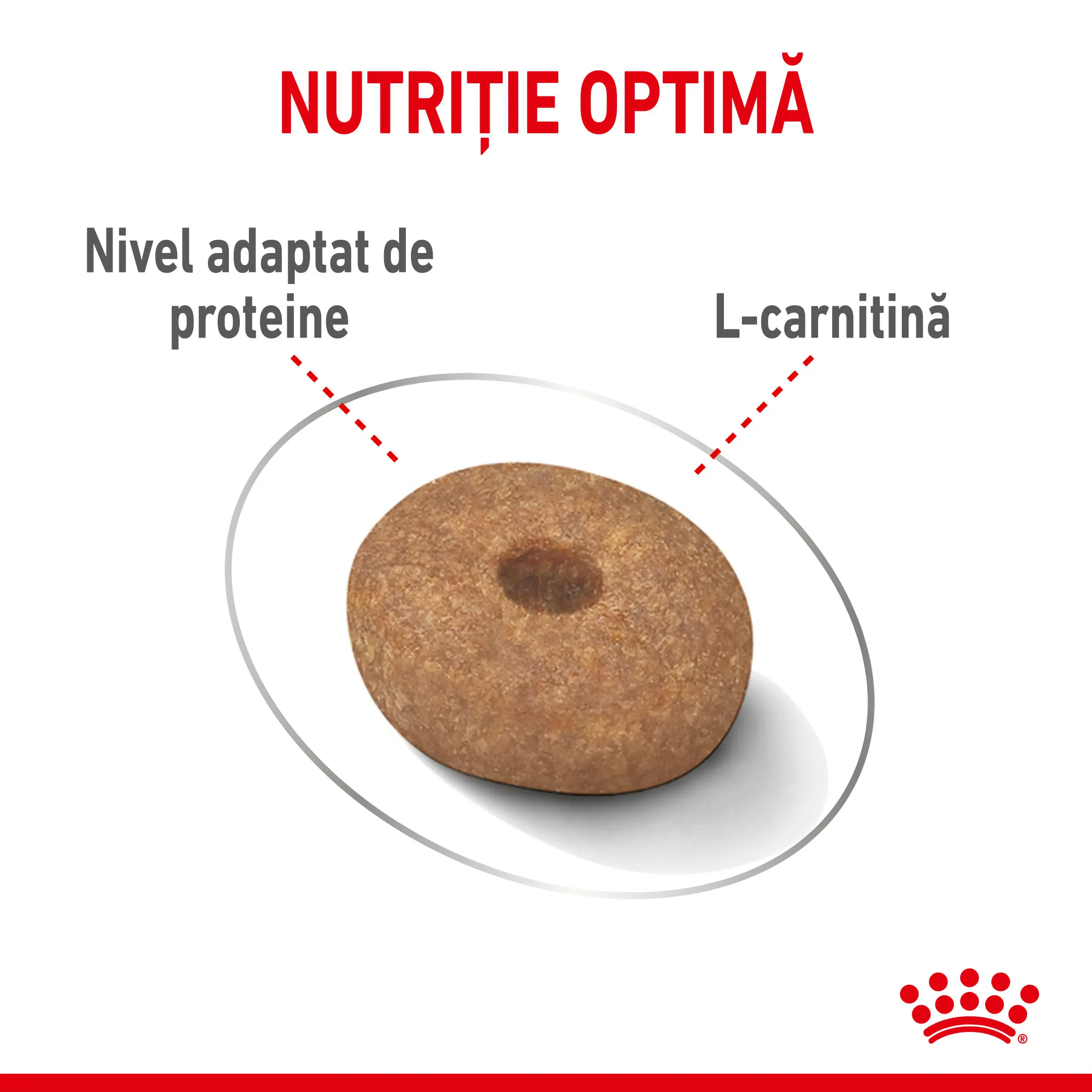 ROYAL CANIN Mini Light Weight Care Adult, hrana uscata caini, limitarea cresterii in greutate, 1kg - Image 5
