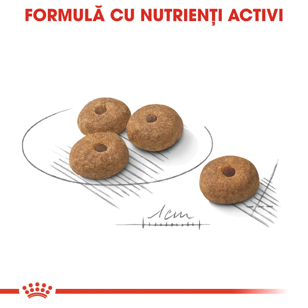 ROYAL CANIN Mini Sterilised Adult, hrana uscata caini sterilizati, 3kg - Image 6
