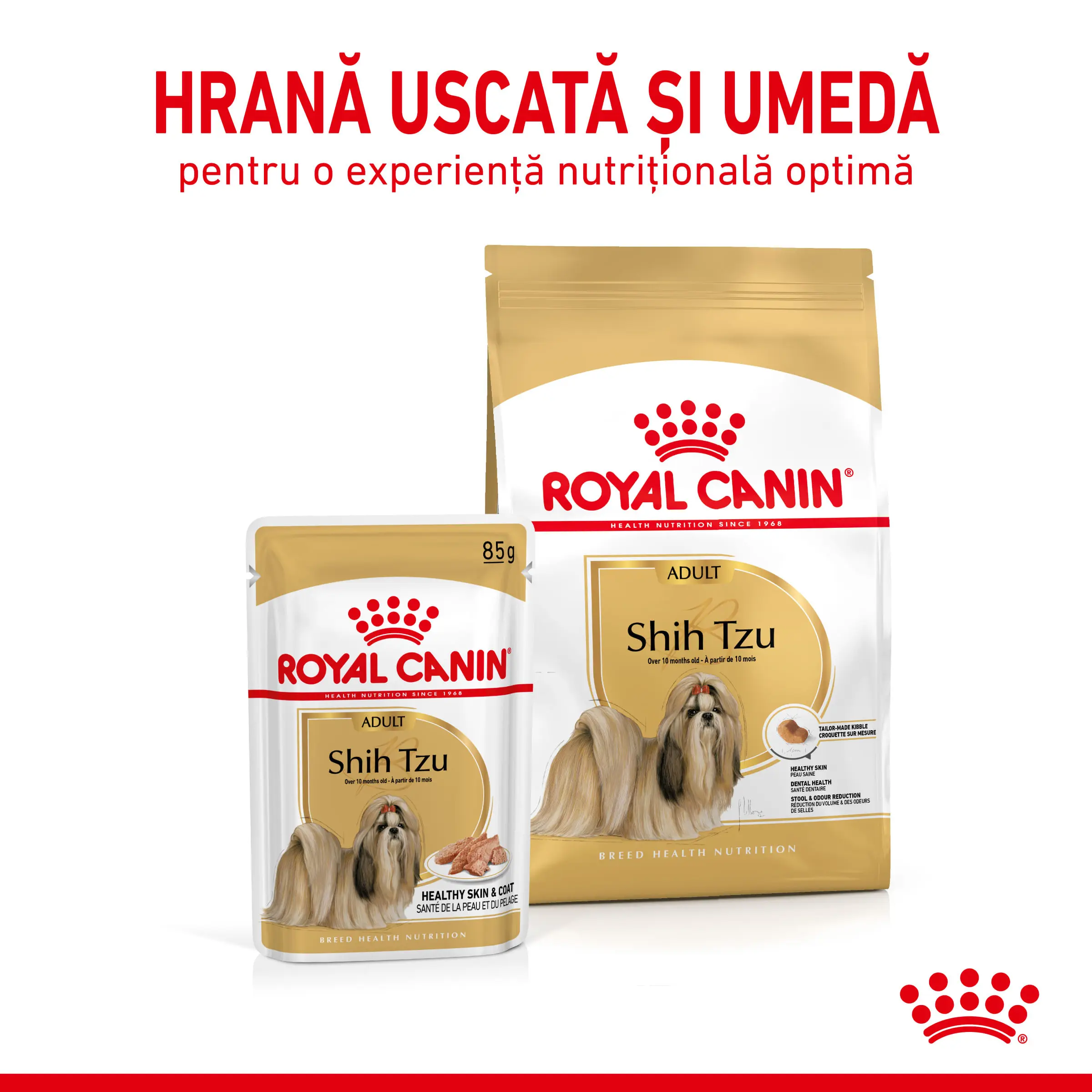 ROYAL CANIN Shih Tzu Adult hrana umeda caini (pate), 85g - Image 8