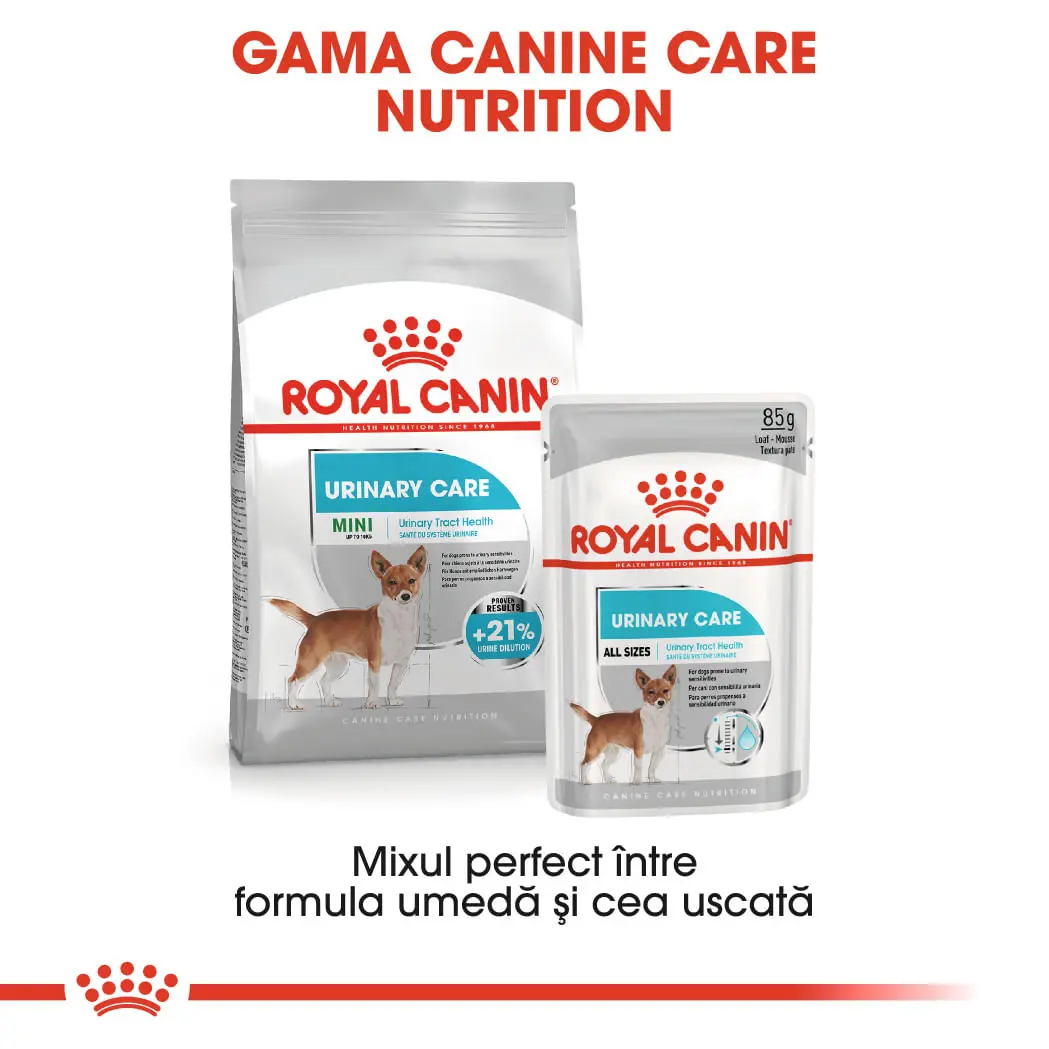 ROYAL CANIN Mini Urinary Care, hrana uscata caini, sanatatea tractului urinar, 8kg - Image 9