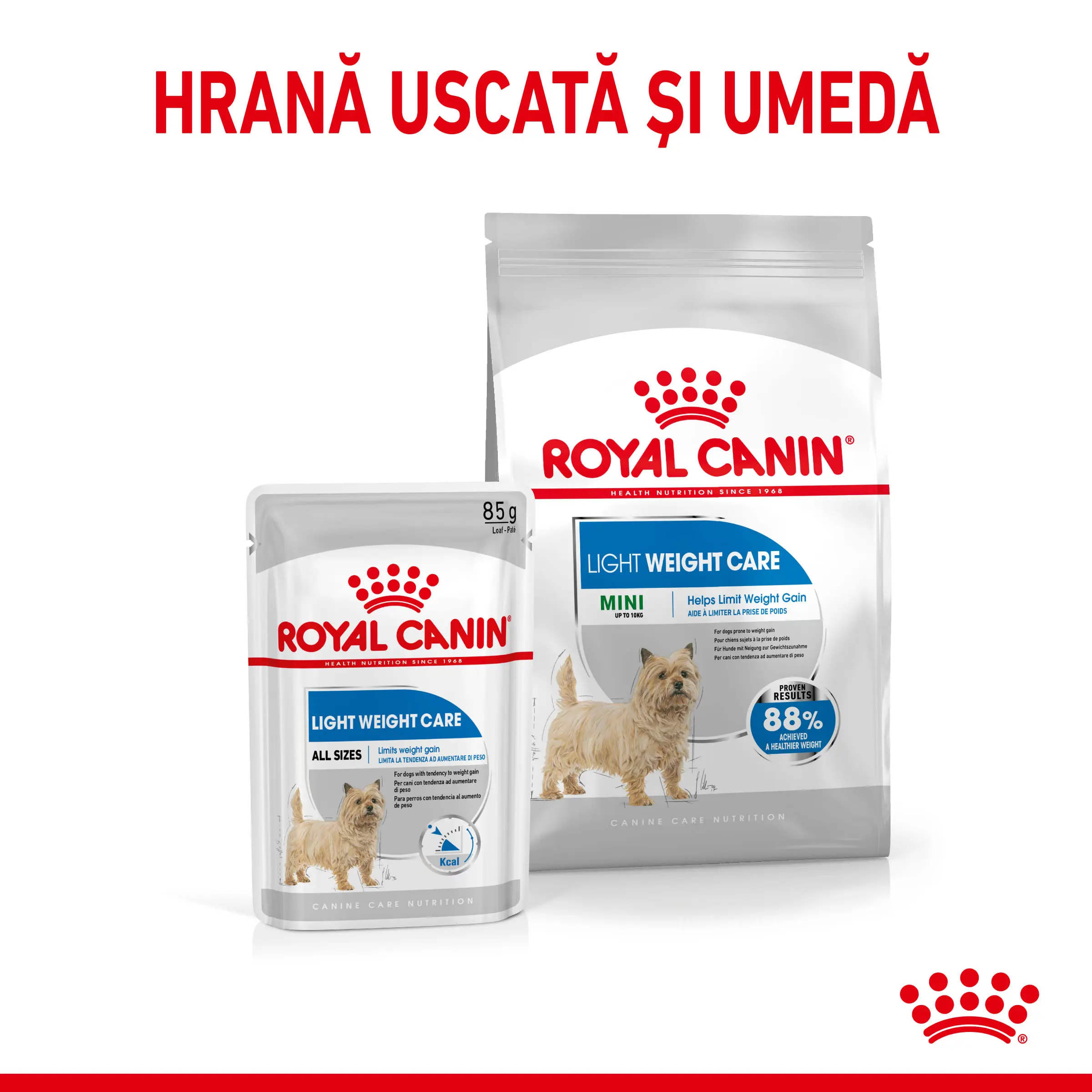 ROYAL CANIN Mini Light Weight Care Adult, hrana uscata caini, limitarea cresterii in greutate, 1kg - Image 8
