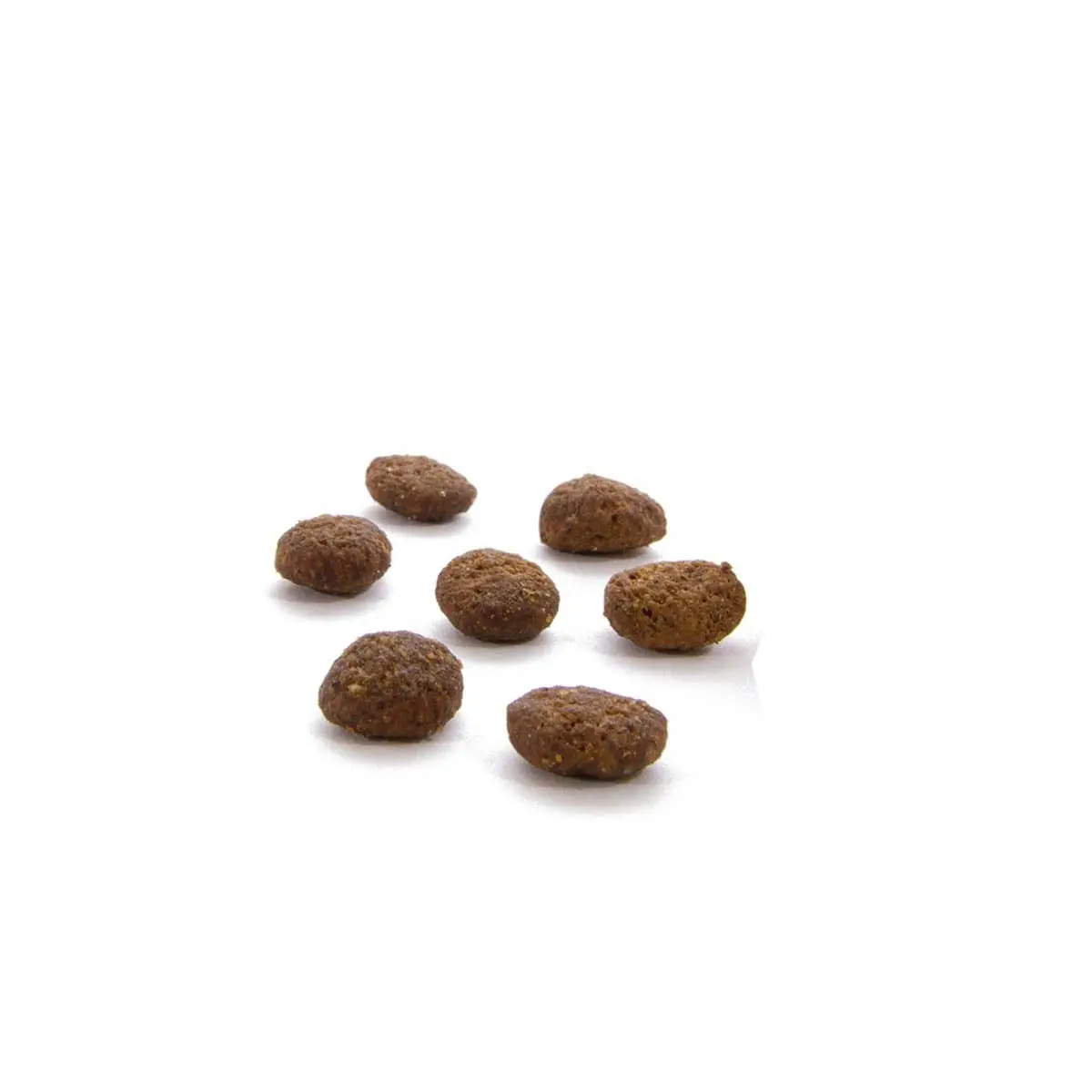 CANAGAN Dental, Curcan, hrana uscata fara cereale pisici junior & adult, sensibilitati dentare, 4kg - Image 3