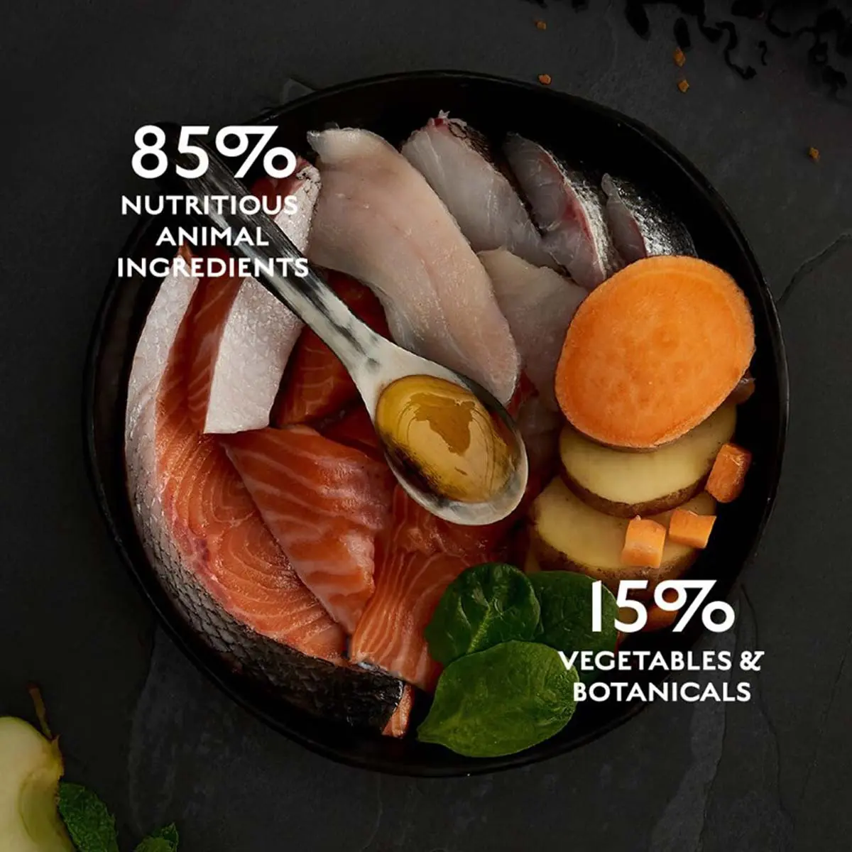 CANAGAN Scottish Salmon, Somon, hrana uscata fara cereale pisici junior & adult, 375g - Image 5