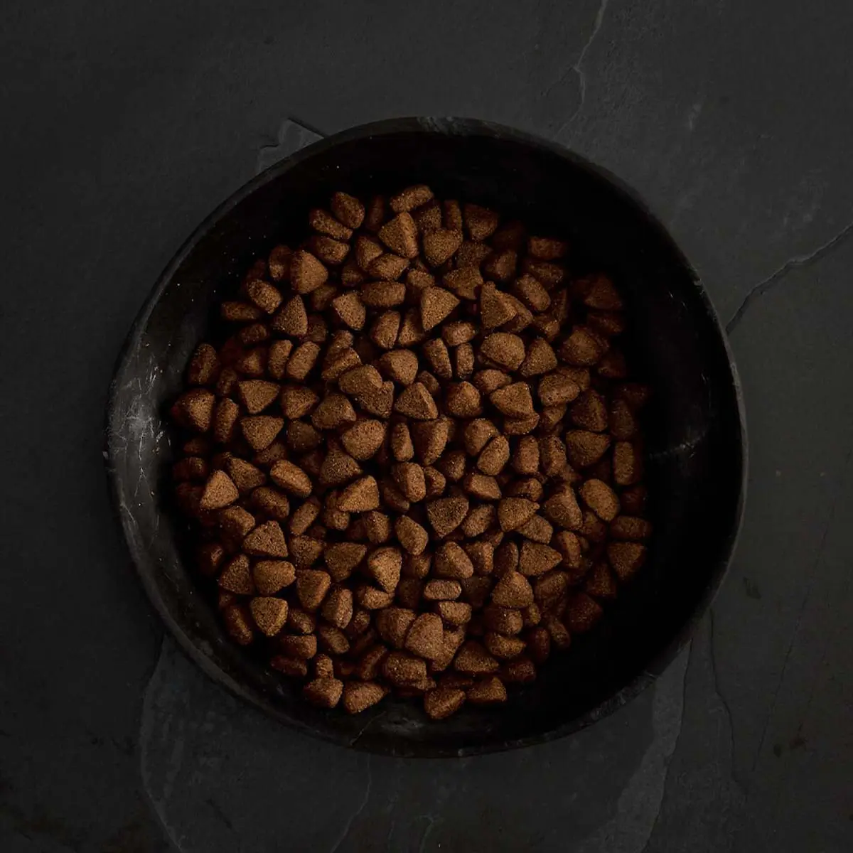 CANAGAN Free Range Chicken, XS-XL, Pui, hrana uscata fara cereale caini junior & adult, 2kg - Image 4