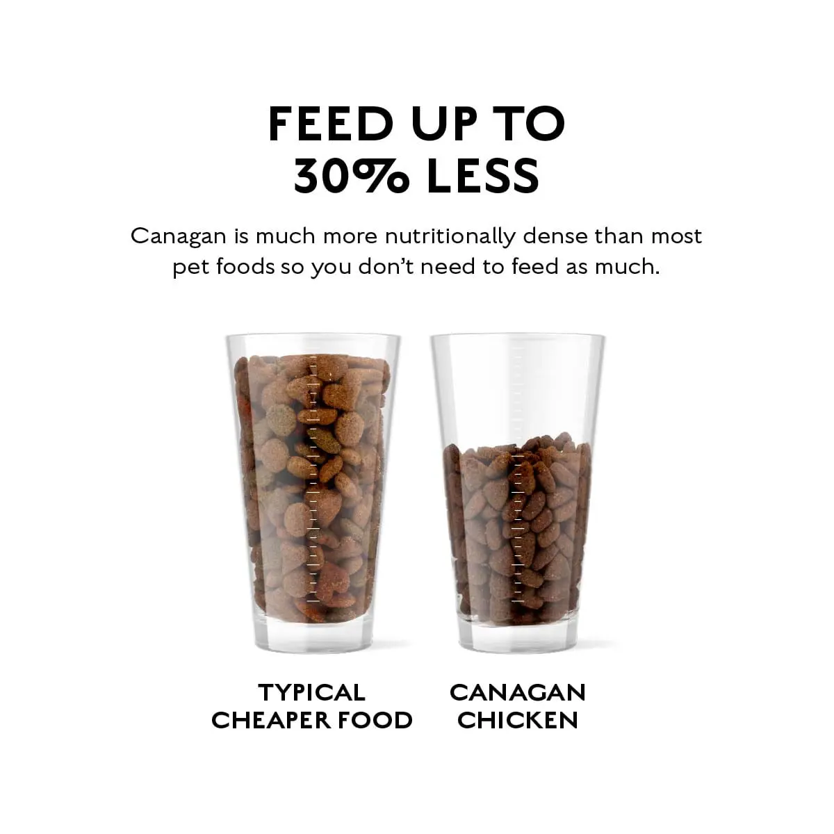 CANAGAN Free Range Chicken, XS-XL, Pui, hrana uscata fara cereale caini junior & adult, 2kg - Image 5