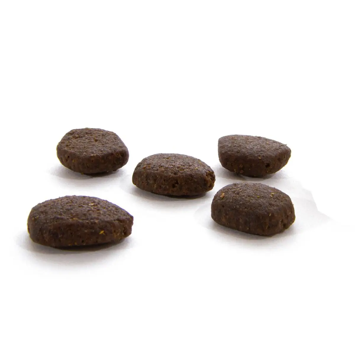 CANAGAN Scottish Salmon, XS-XL, Somon, hrana uscata fara cereale caini junior & adult, 2kg - Image 3