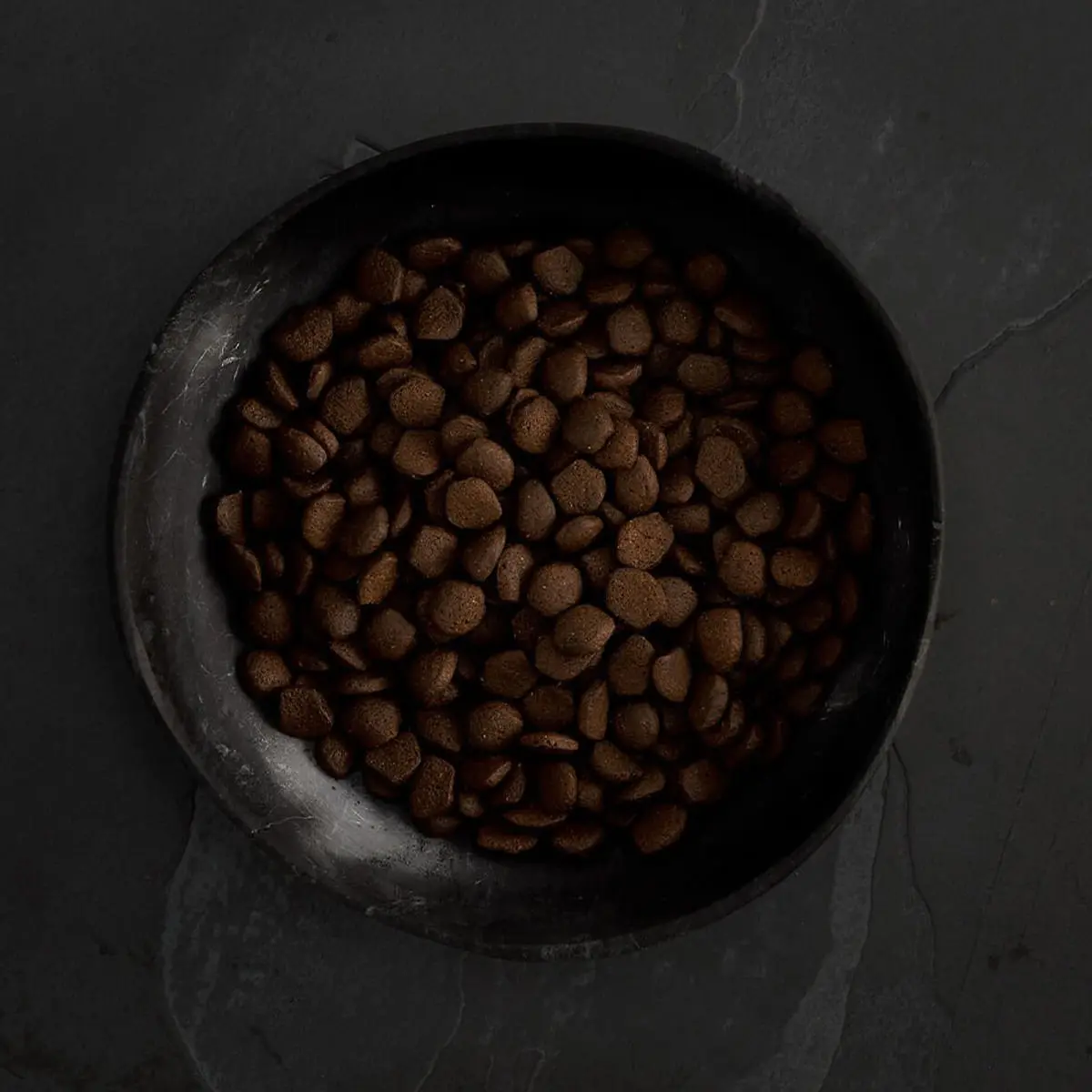 CANAGAN Scottish Salmon, XS-XL, Somon, hrana uscata fara cereale caini junior & adult, 2kg - Image 4