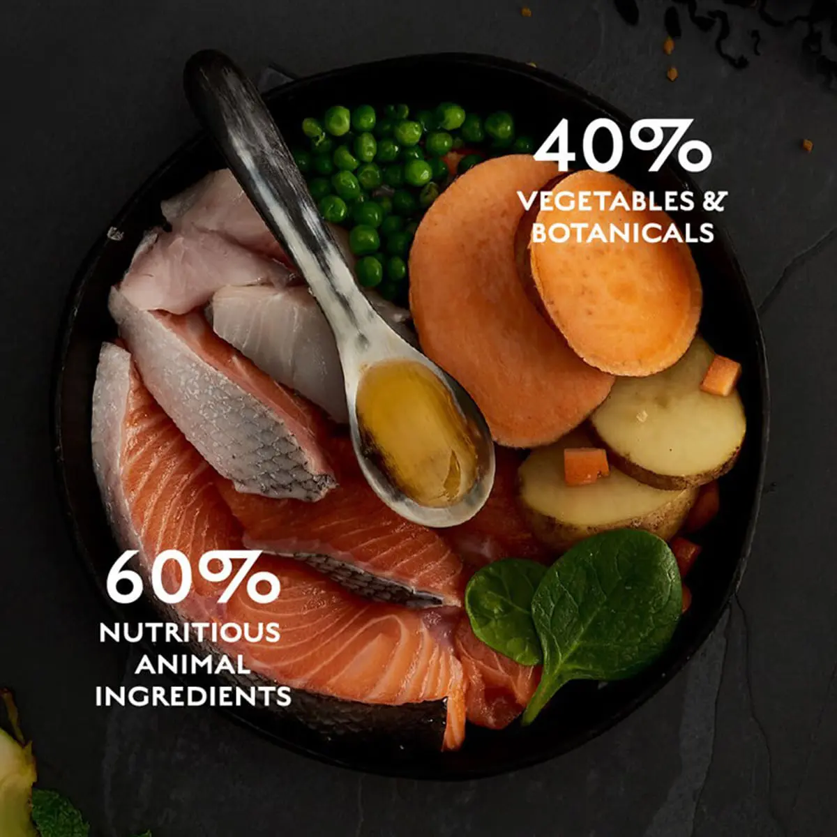 CANAGAN Scottish Salmon, XS-XL, Somon, hrana uscata fara cereale caini junior & adult, 2kg - Image 5