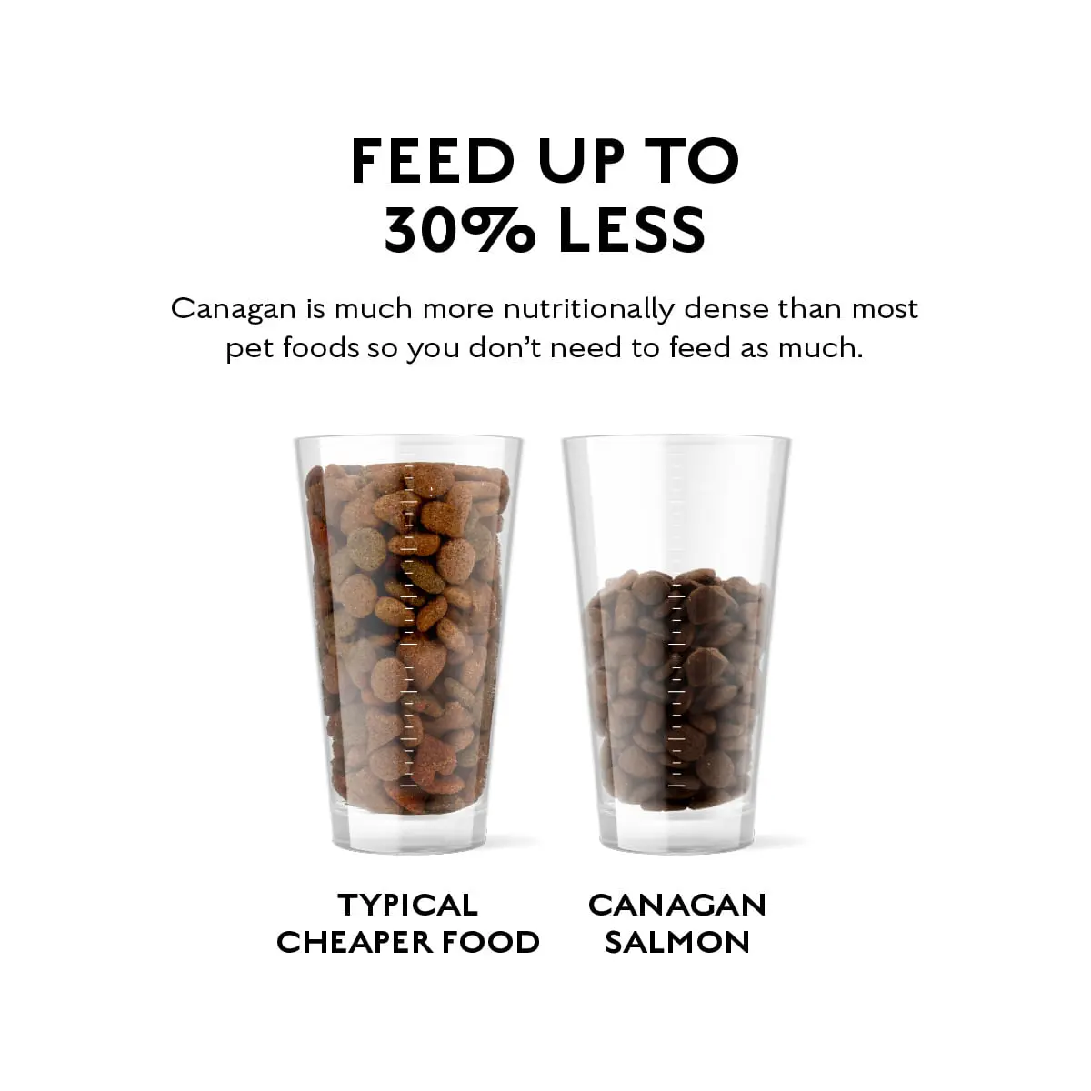 CANAGAN Scottish Salmon, XS-XL, Somon, hrana uscata fara cereale caini junior & adult, 2kg - Image 6