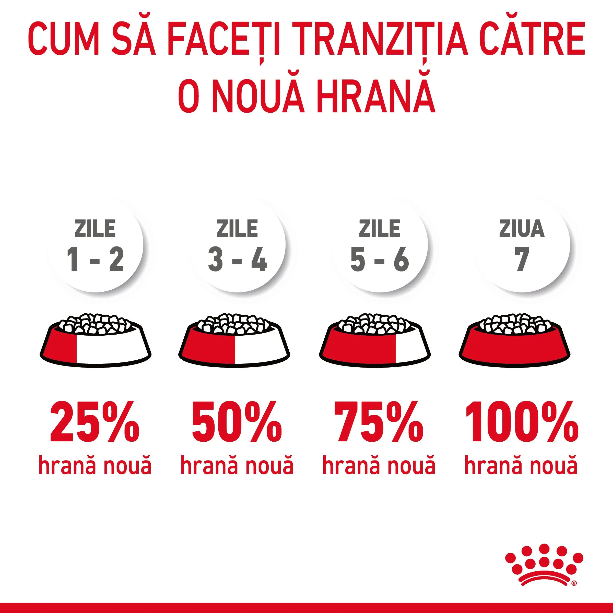 ROYAL CANIN Hair & Skin Care Adult, hrana uscata pisici, piele & blana, 4kg - Image 7
