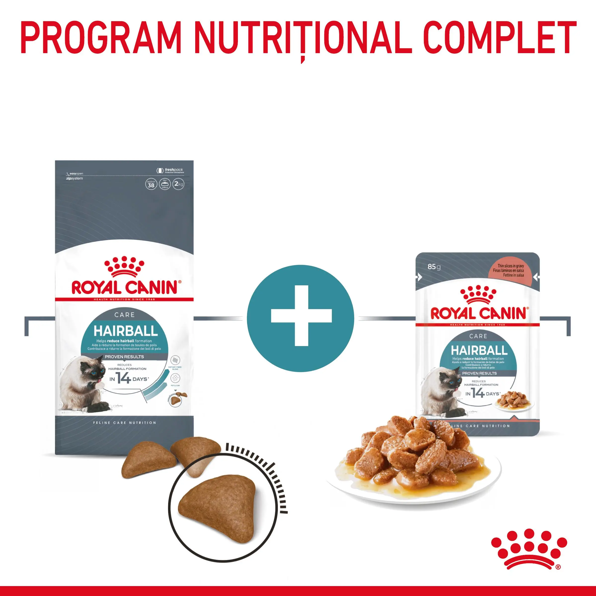 ROYAL CANIN Hairball Care Adult, hrana uscata pisici, limitarea ghemurilor de blana, 10kg - Image 8