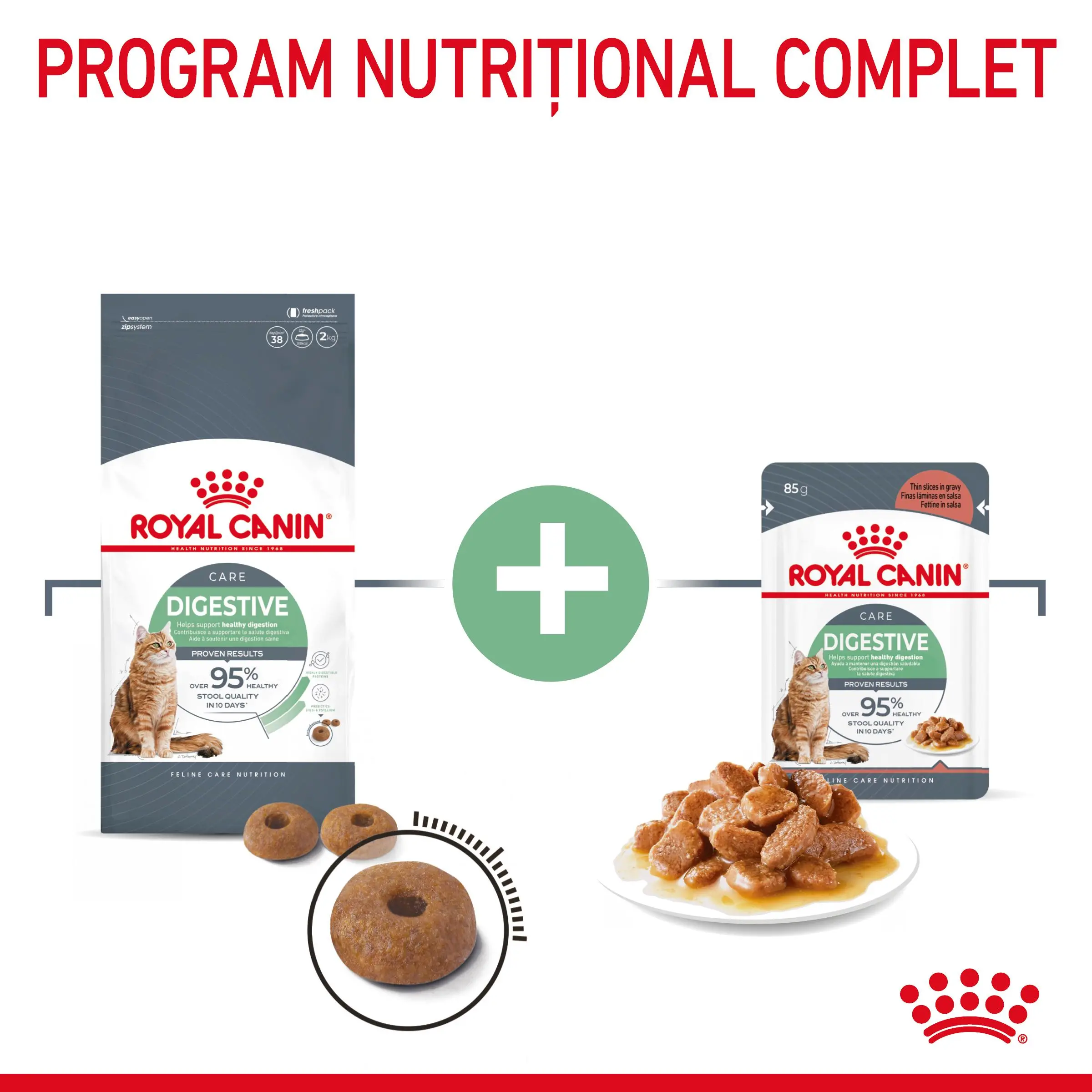 ROYAL CANIN Digestive Care Adult, hrana uscata pisici, confort digestiv, 10kg - Image 8