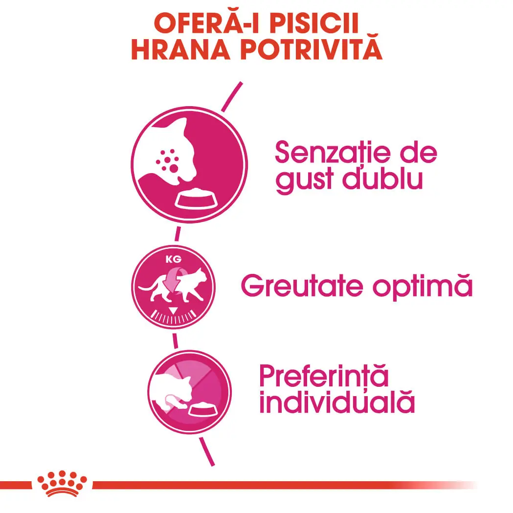 ROYAL CANIN Exigent Savour Adult, hrana uscata pisici, apetit capricios, 4kg - Image 4