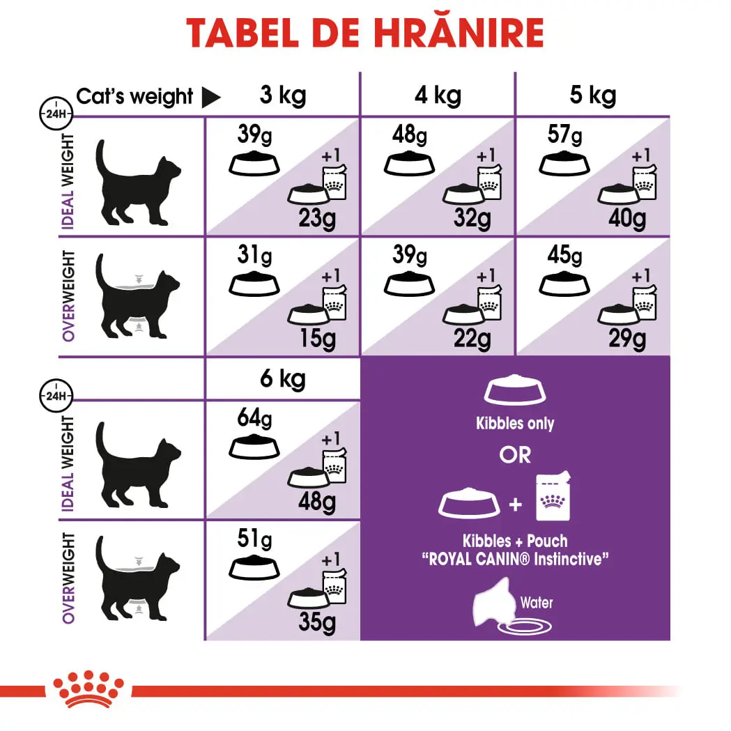 ROYAL CANIN Sensible Adult, hrana uscata pisici, digestie optima, 10+2kg GRATUIT - Image 6