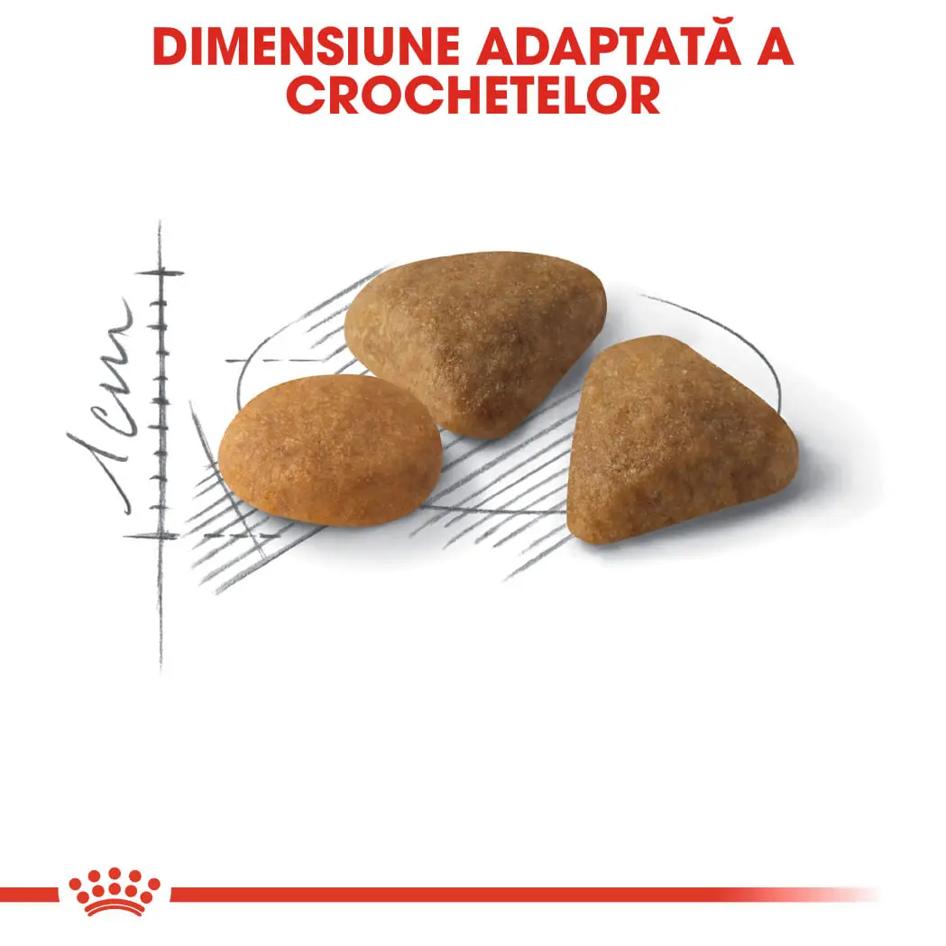 ROYAL CANIN Exigent Savour Adult, hrana uscata pisici, apetit capricios, 4kg - Image 5