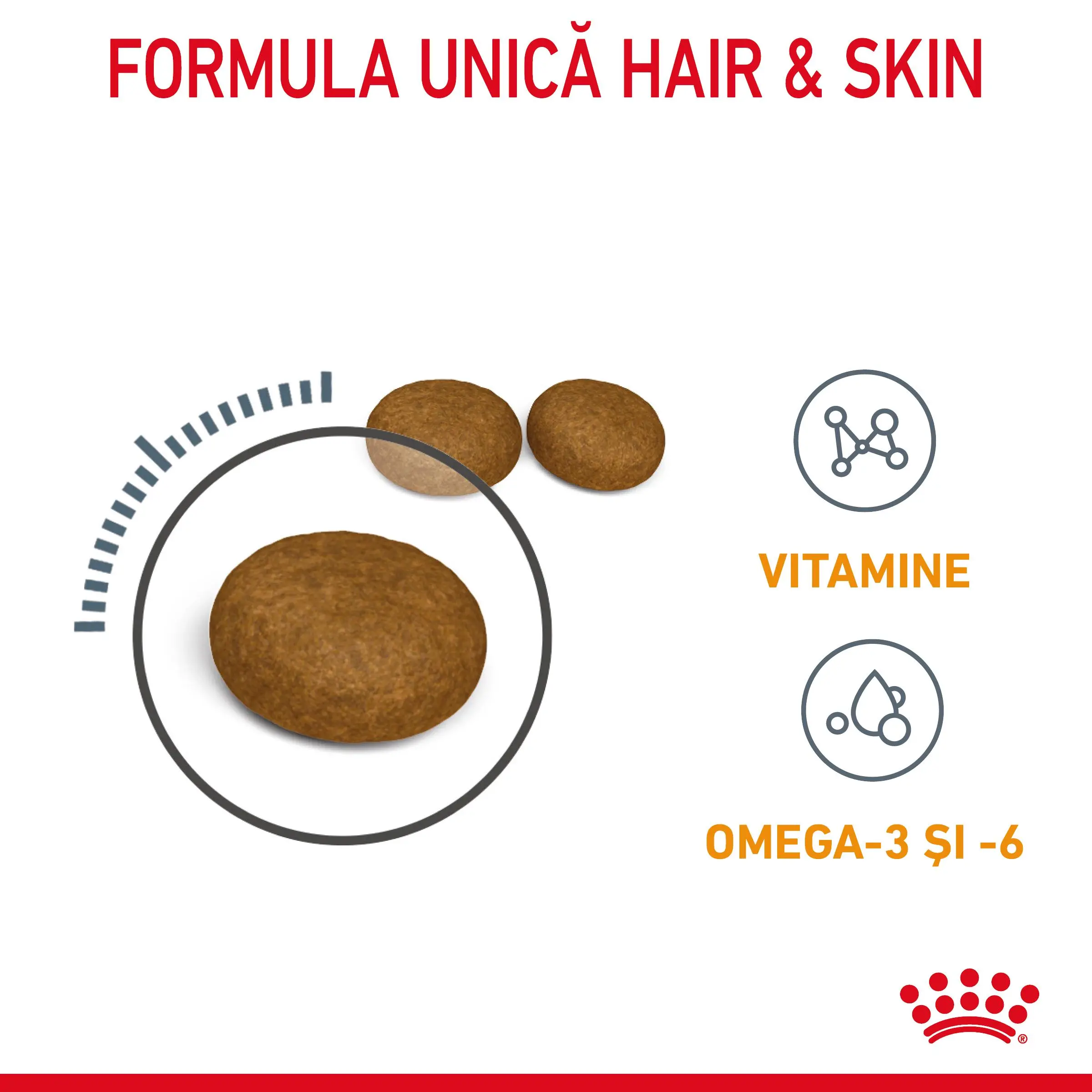 ROYAL CANIN Hair & Skin Care Adult, hrana uscata pisici, piele & blana, 10kg - Image 4