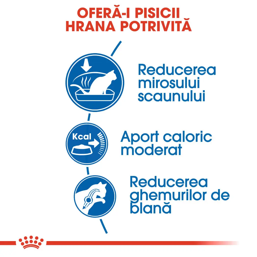 ROYAL CANIN Indoor Adult, hrana uscata pisici, de interior, 10kg - Image 4