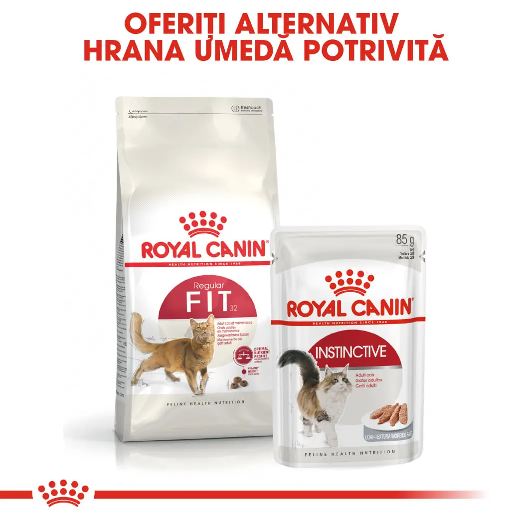 ROYAL CANIN Fit32 Adult, hrana uscata pisici, activitate fizica moderata, 10kg - Image 8