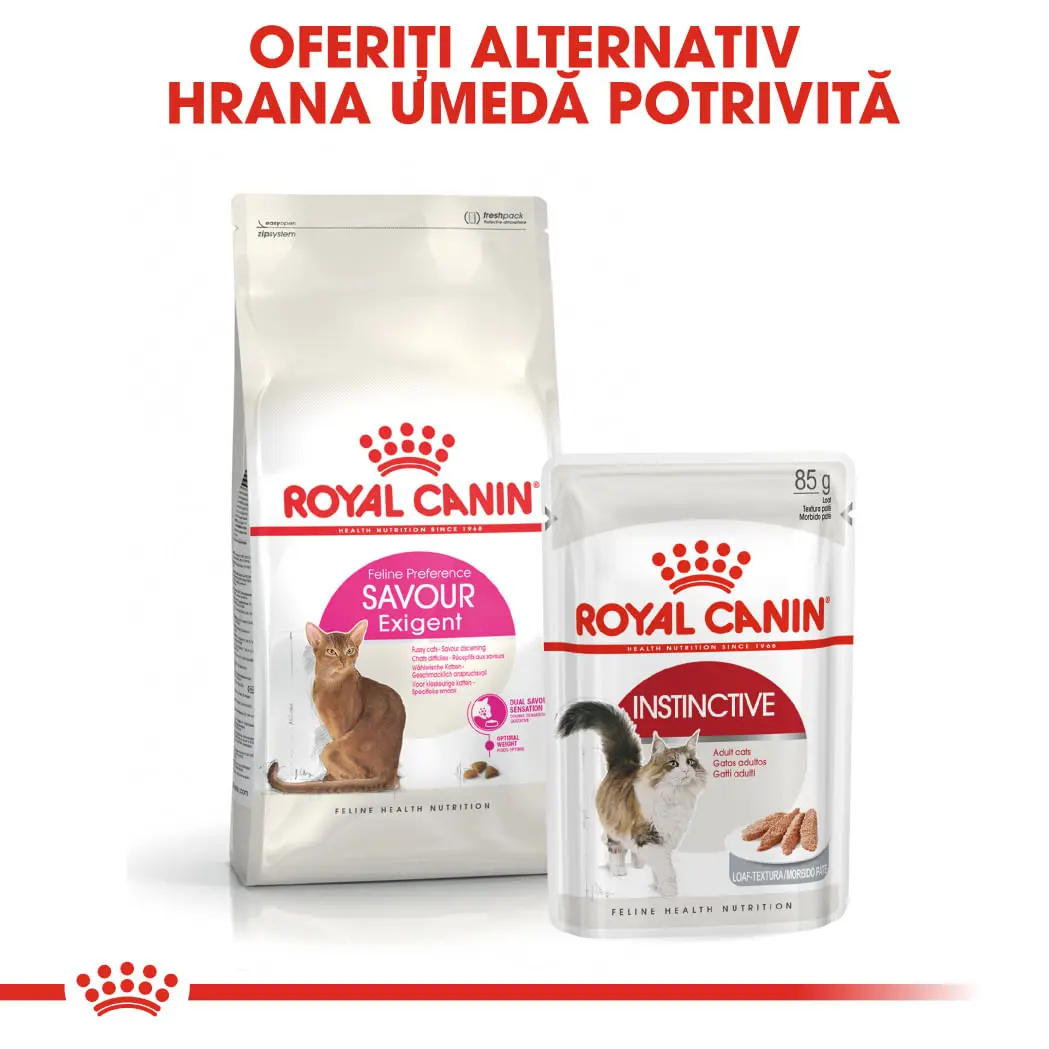 ROYAL CANIN Exigent Savour Adult, hrana uscata pisici, apetit capricios, 4kg - Image 8